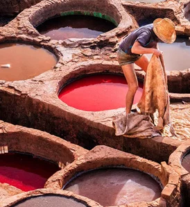 Tanneries